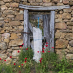 II Concurso de fotografía. Resultados.