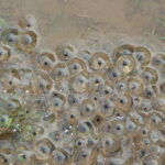 CONCURSO DE FOTOGRAFIA 2025