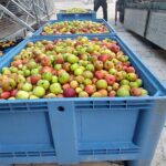 20251011 DOLARA EGUNA