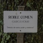 Etiquetado de árboles