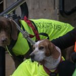 Colaboración con la Burdinmendi-Trail-Fest